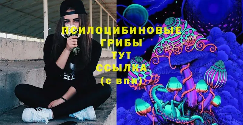 Галлюциногенные грибы Psilocybe  Чусовой 